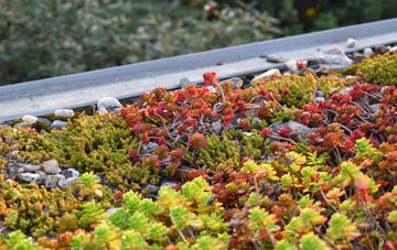 the cost of Pentre Broughton green roof installation
