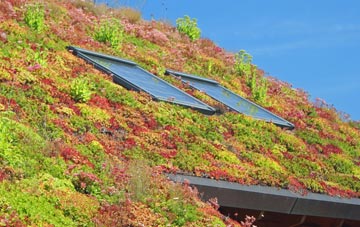 Pentre Broughton living roof systems