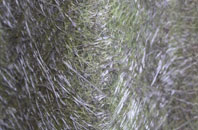 Pentre Broughton fibreglass roof work